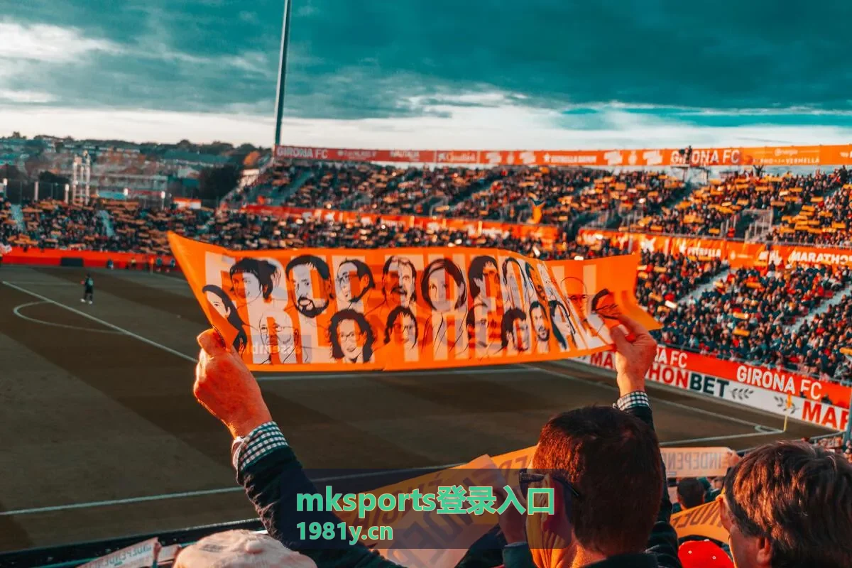mksports登录入口会员等级与权益页面背景图