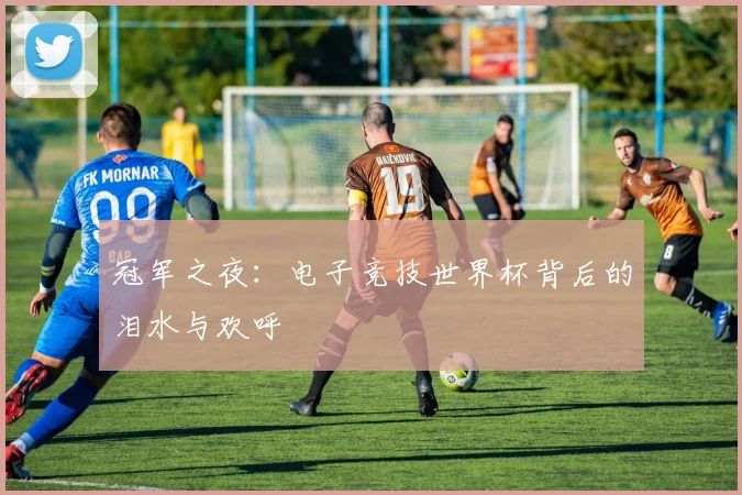 冠军之夜：电子竞技世界杯背后的泪水与欢呼