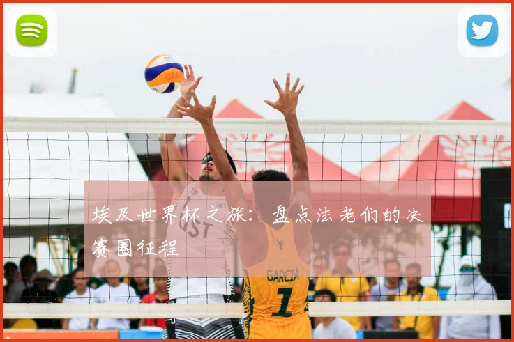 埃及世界杯之旅：盘点法老们的决赛圈征程