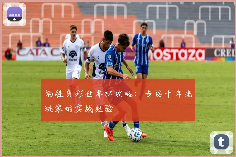 场胜负彩世界杯攻略：专访十年老玩家的实战经验