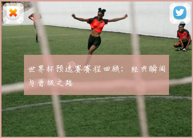 世界杯预选赛赛程回顾：经典瞬间与晋级之路