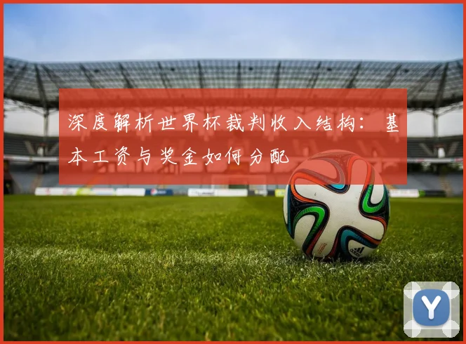 深度解析世界杯裁判收入结构：基本工资与奖金如何分配