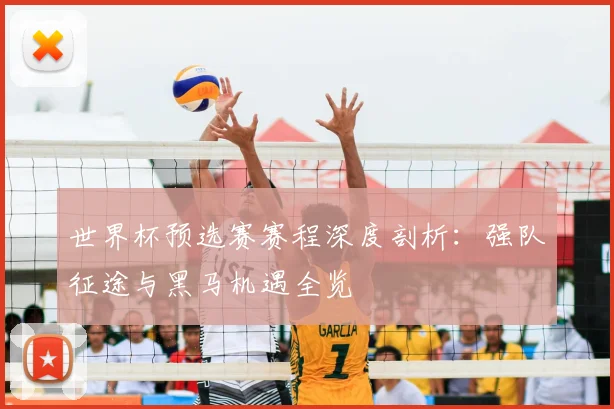 世界杯预选赛赛程深度剖析：强队征途与黑马机遇全览