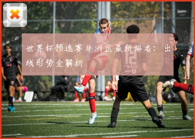 世界杯预选赛非洲区最新排名：出线形势全解析
