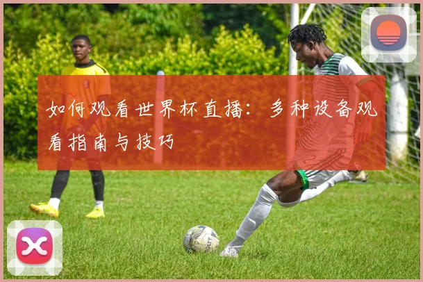 如何观看世界杯直播：多种设备观看指南与技巧